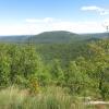 Long Path to Long Mountain Summit in Harriman State Park - Photo: Daniel Chazin