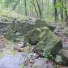 Trail view on Eagle Rock Reservation Loop - Photo: Daniel Chazin