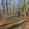 Hiker along Beechy Bottom Road in Harriman State Park. Photo by Daniel Chazin.