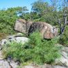 Raccoon Brook Hills Trail/Pine Meadow Lake/Diamond Mt. Loop - Harriman-Bear Mountain State Parks - Photo: Daniel Chazin