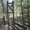 Suspension bridge on trail in Black Creek Forest Preserve - Photo by Daniel Chazin