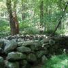 Wide stone wall. Photo: Jane Daniels