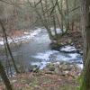 Along the Big Flat Brook - Photo by Daniel Chazin