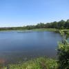 View of Lake Appert - Photo by Daniel Chazin