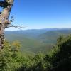 View from near the summit of Balsam Mountain - Photo by Daniel Chazin