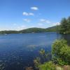 Island Pond Nearby Lemon Squeezer - Photo by Daniel Chazin