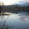 Teatown, Shadow Lake. Photo by Daniel Chazin.