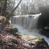 Crum Creek flowing over a breached dam - Photo credit: Daniel Chazin