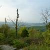 View along the Summit Trail at Jenny Jump State Forest - Photo credit: Daniela Wagstaff