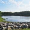 View of Saffin Pond - Photo credit: Daniela Wagstaff