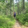 Along the Batona Trail in Wharton State Forest - Photo by Daniel Chazin