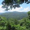 Romer Mountain from the Phoenicia Overlook - Photo by Daniel Chazin