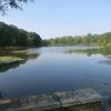 Van Cortlandt Lake - Photo by Daniel Chazin