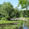 The bridge to Wildflower Island Photo: Jane Daniels