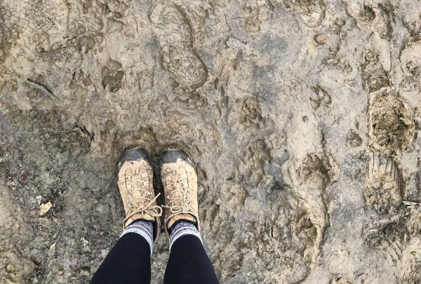 Mud Season. Photo by Heather Darley.