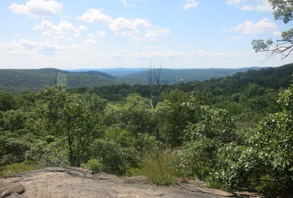 Raccoon Brook Hills Trail / Photo Credit: Daniel Chazin