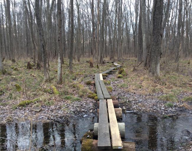 Appalachian Trail puncheon replacement project near Wallkill Wildlife Refuge.