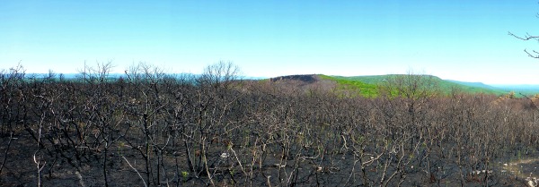 Shawangunk Ridge Fire 2015