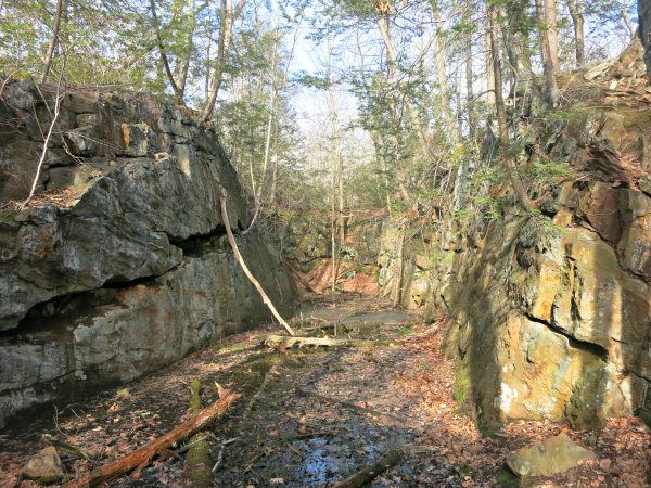 Rectangular excavation into the hillside part of the Pine Swamp Mine. Photo by Daniel Chazin.