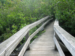 Bent Bridge. Photo by Daniel Chazin.