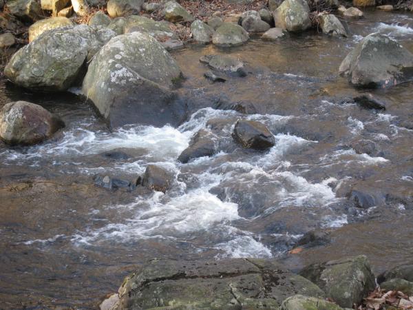 Cascades in Stony Brook. Photo by Daniel Chazin.