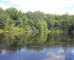 Cranberry Lake. Photo by Daniel Chazin.