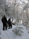  descending Balsam Mountain on the Pine Hill-West Branch Trail.  Photo by Daniel Chazin.