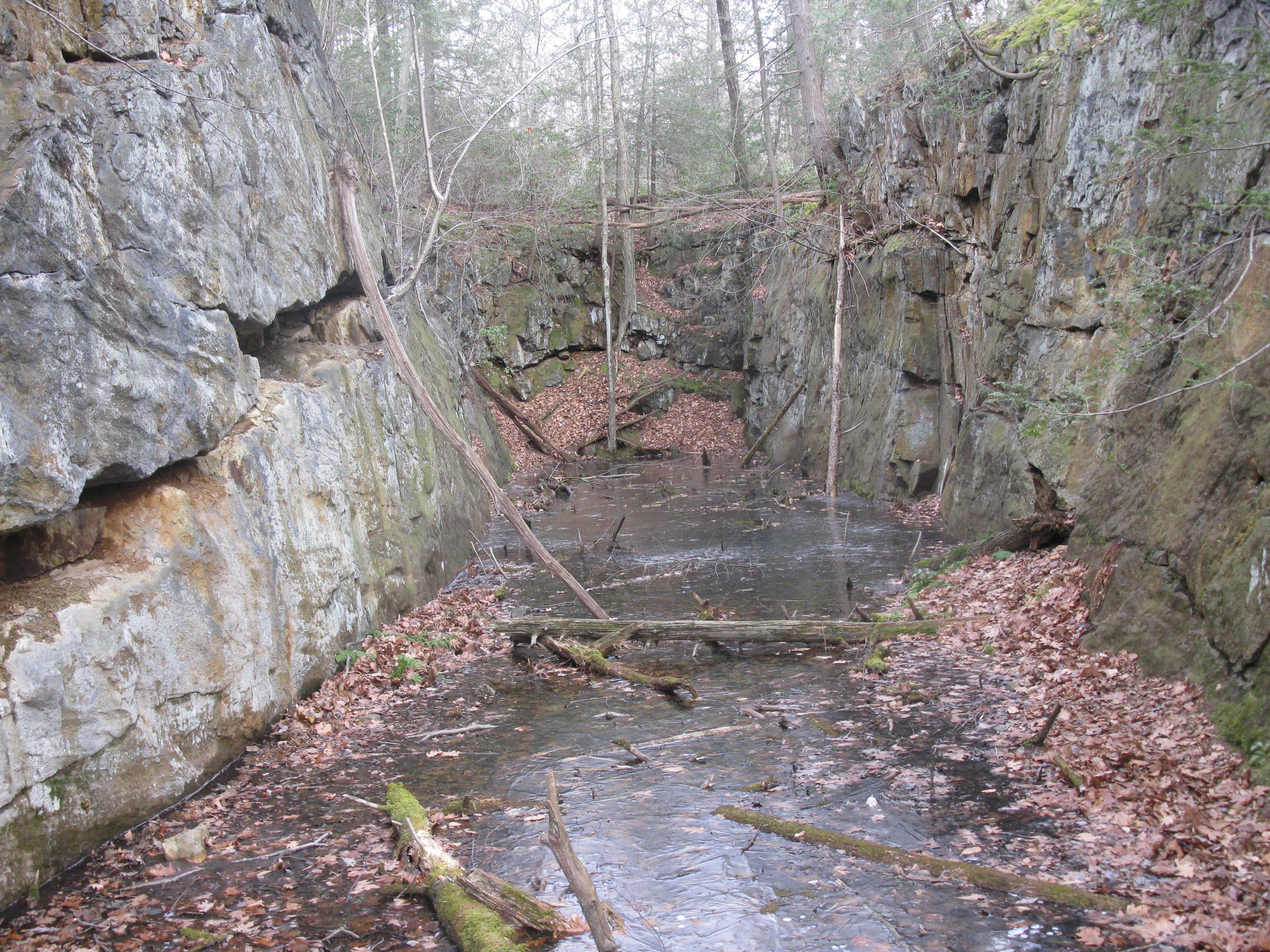 Cut of the Pine Swamp Mine. Photo by Daniel Chazin.