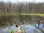 Lost Pond. Photo by Daniel Chazin.