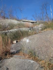 Reaching the summit of Buck Mountain. Photo by Daniel Chazin.