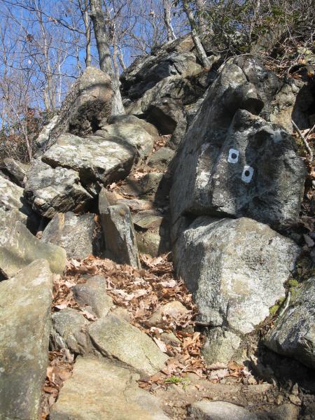 Steep Section of Racoon Brook Trail. Photo by Daniel Chazin.