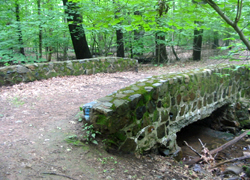 Crossing Stony Brook