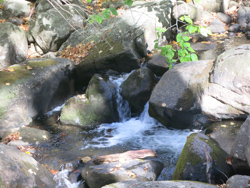 Stony Brook Cascade. Photo by Daniel Chazin.