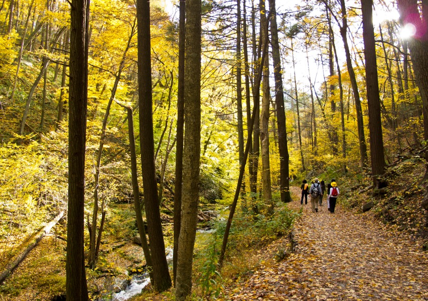 Delaware Water Gap