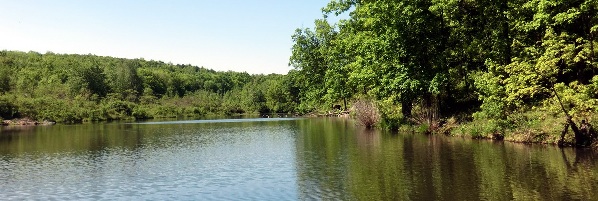 One of 4 ponds on the Ridgeview parcel atop the Shawangunk Ridge.