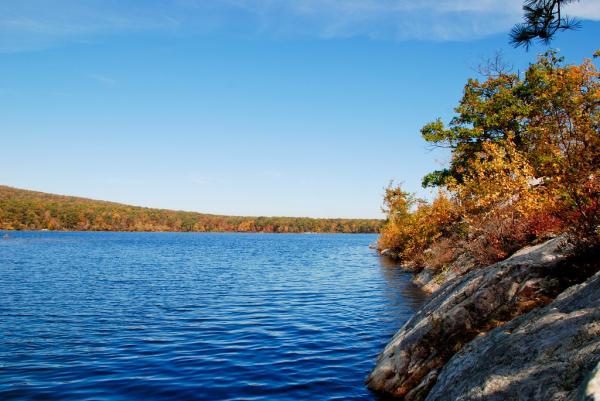 Lake Rutherford