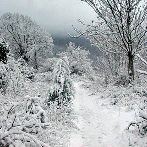 Winter A.T. at Wawayanda State Park