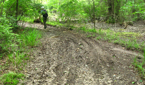 ATV damage on a hiking trail