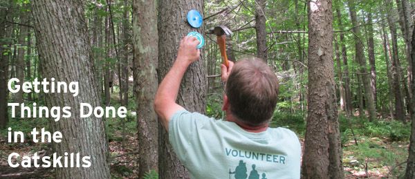 Volunteer places blaze on tree