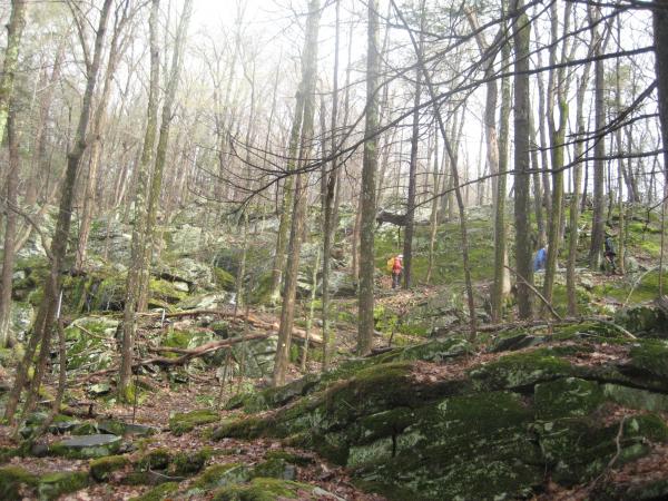 Trail switchbacks at Slabsides