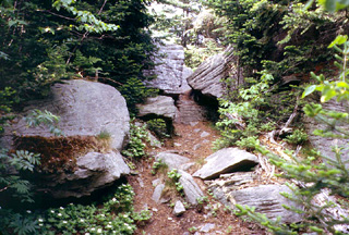 Escarpment-Trail