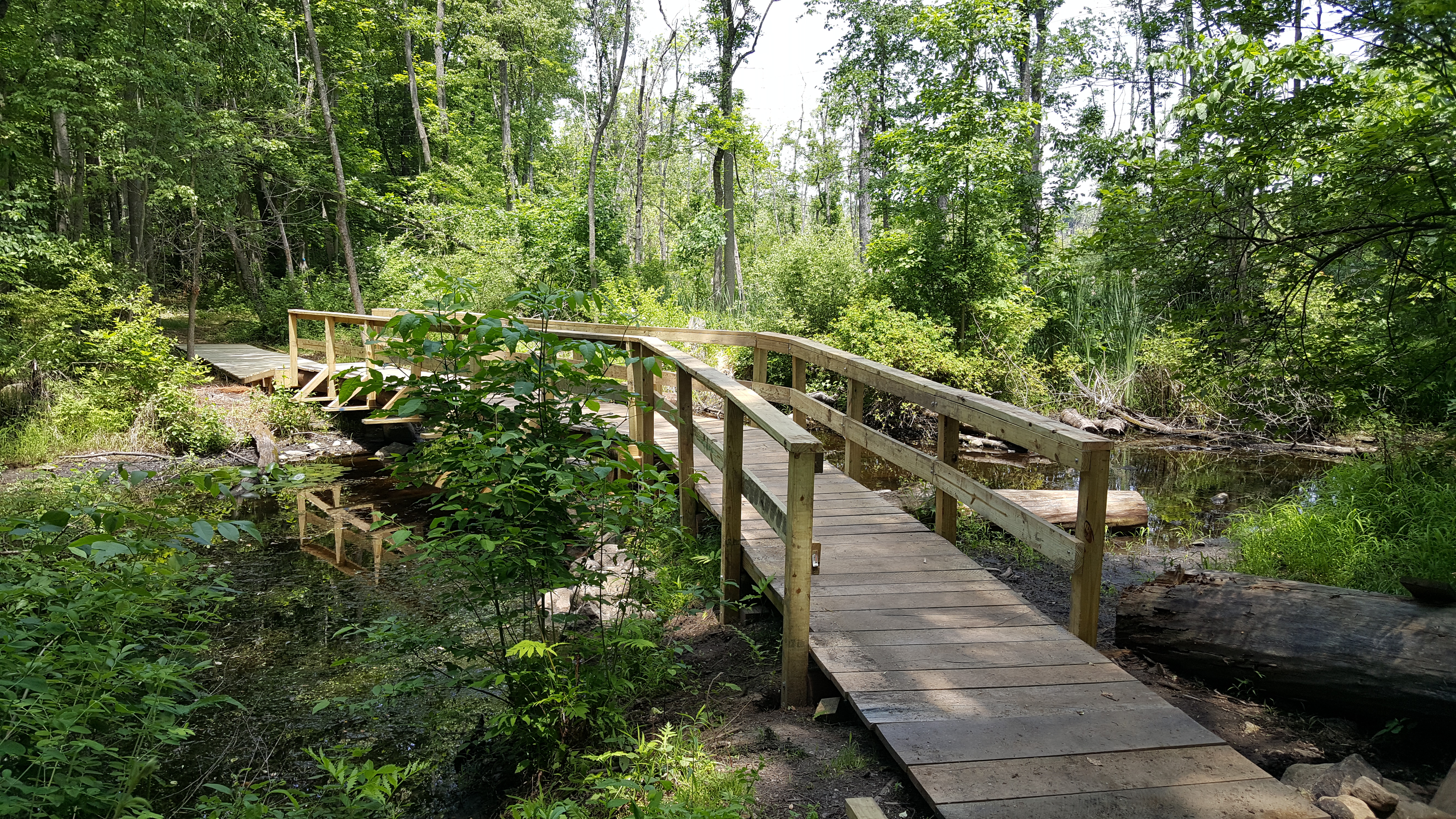 Outlet bridge