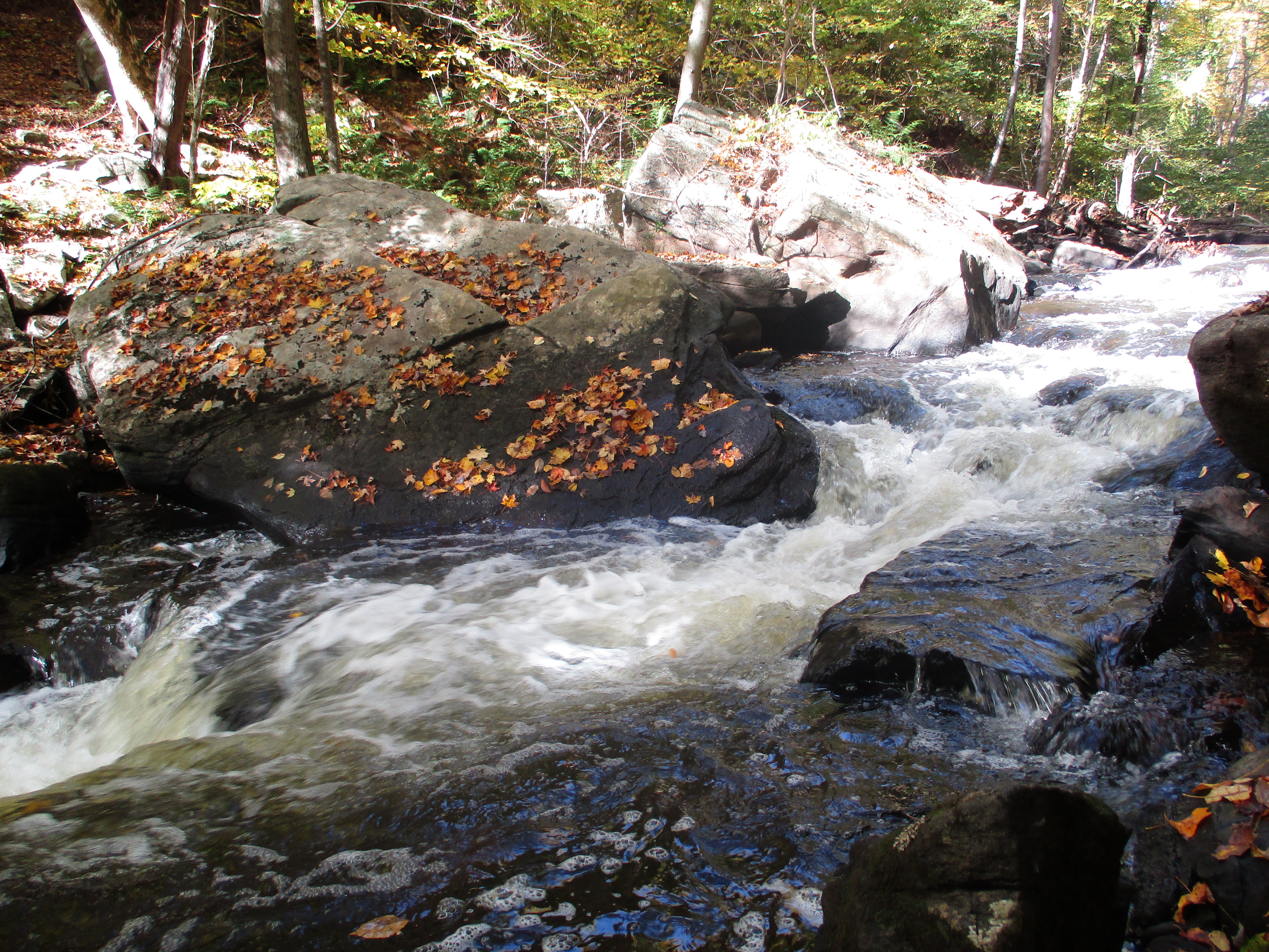Cascades in the Black River - Photo by Daniel Chazin