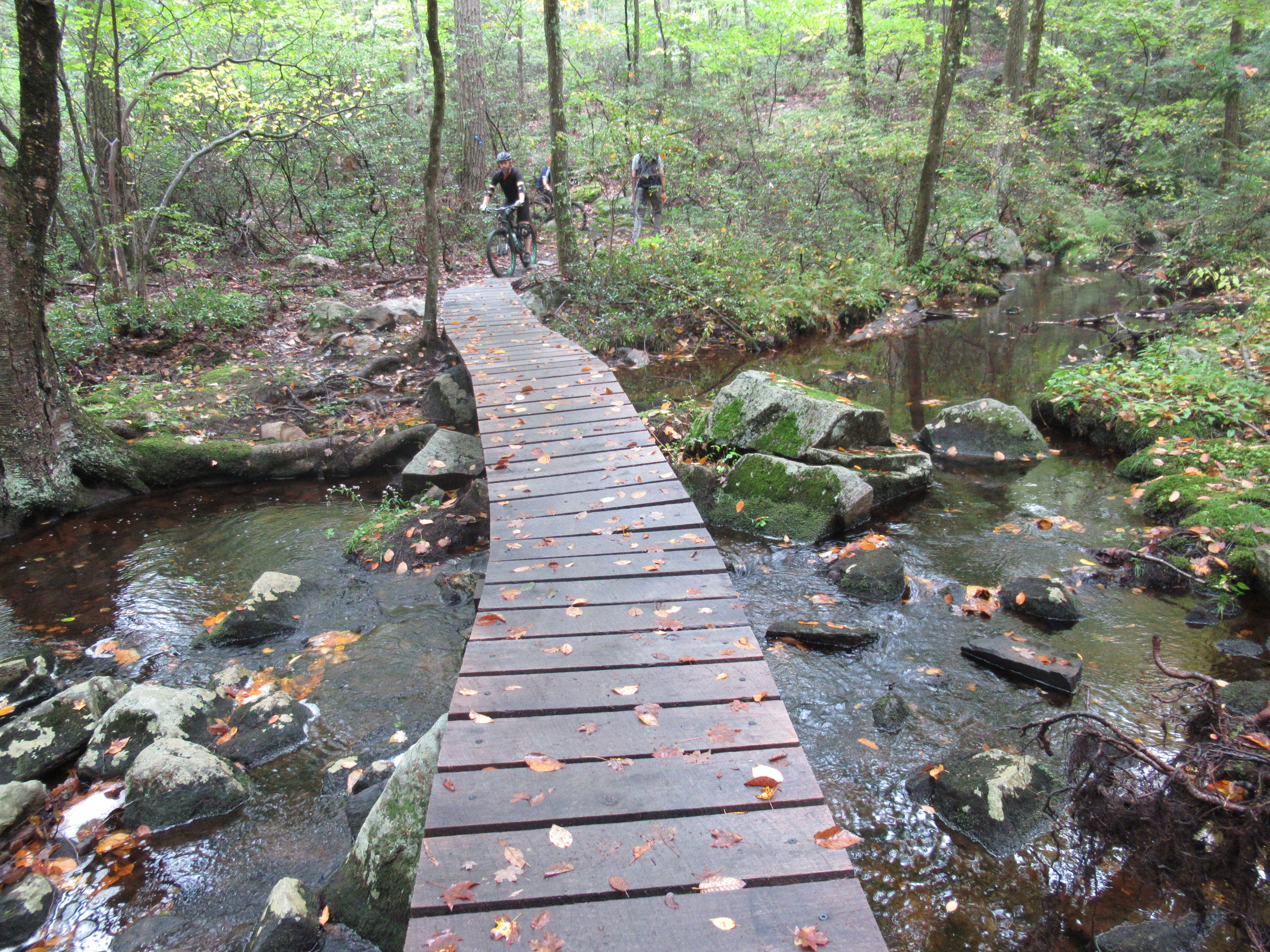 Bridge on the Munsee-Eagle Trail - Photo by Daniel Chazin