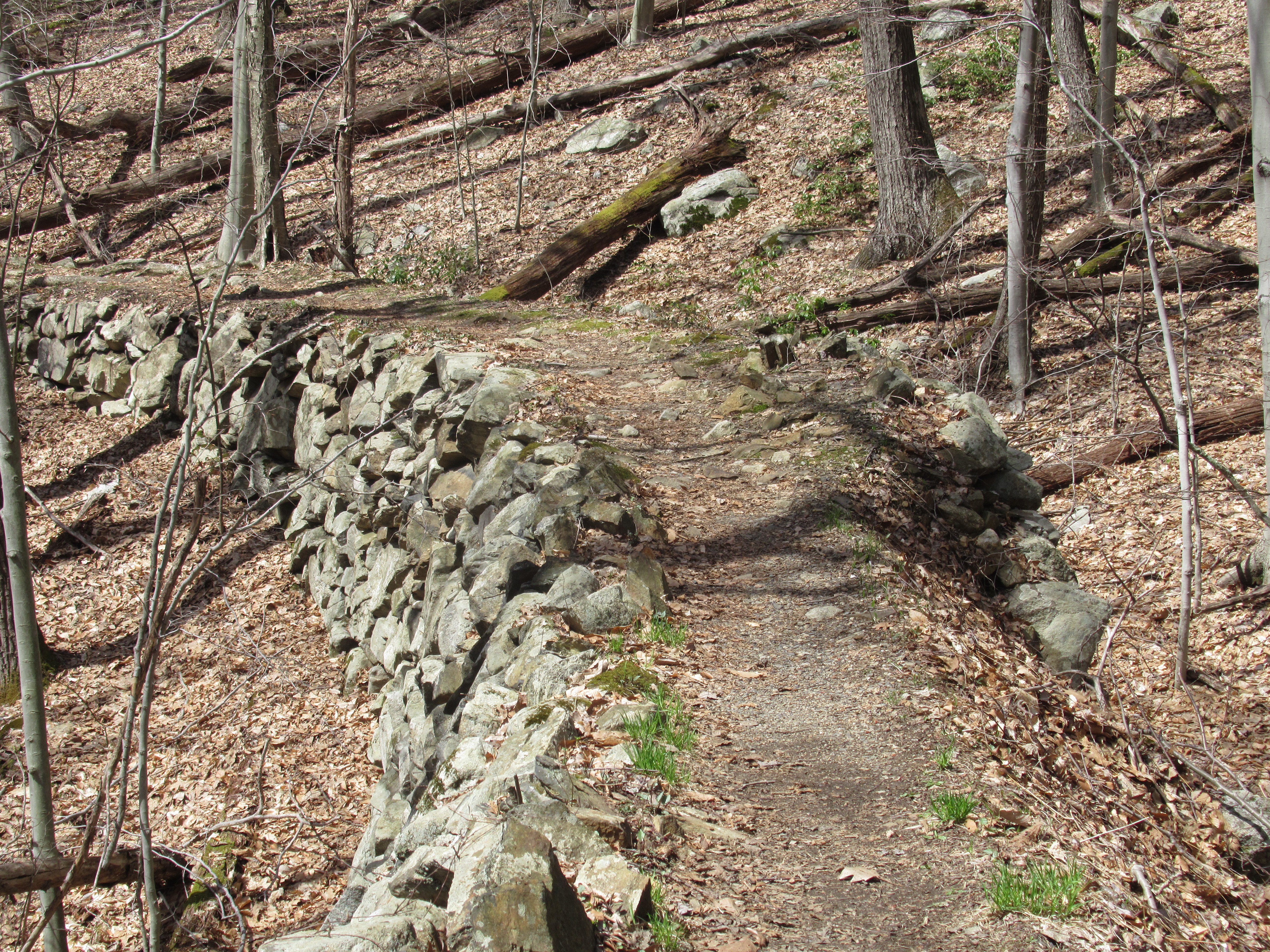 Old mine railbed followed by the A.T. - Photo by Daniel Chazin