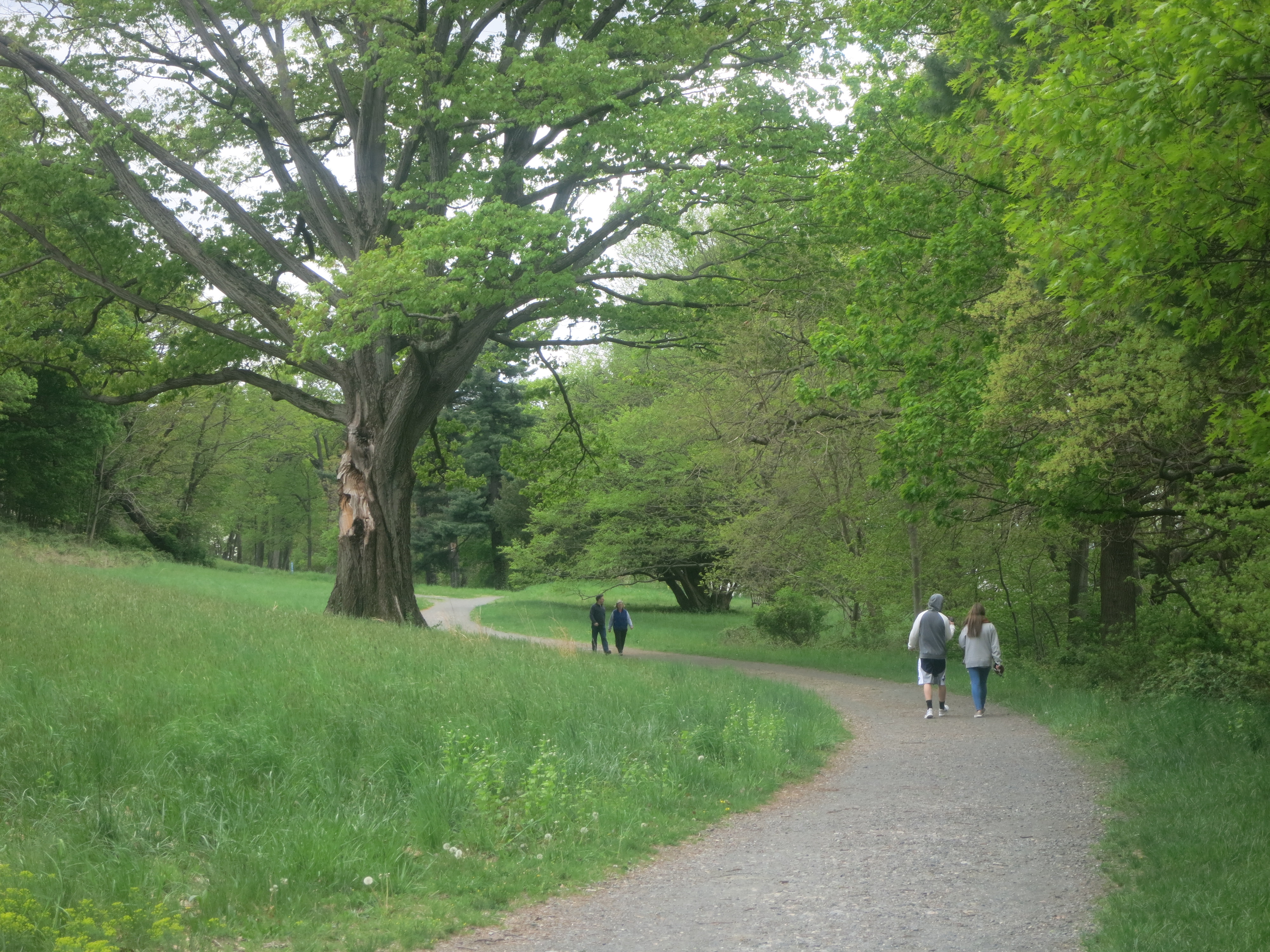 Hikers along the Lower Trail at Rockwood Hall - Photo by Daniel Chazin