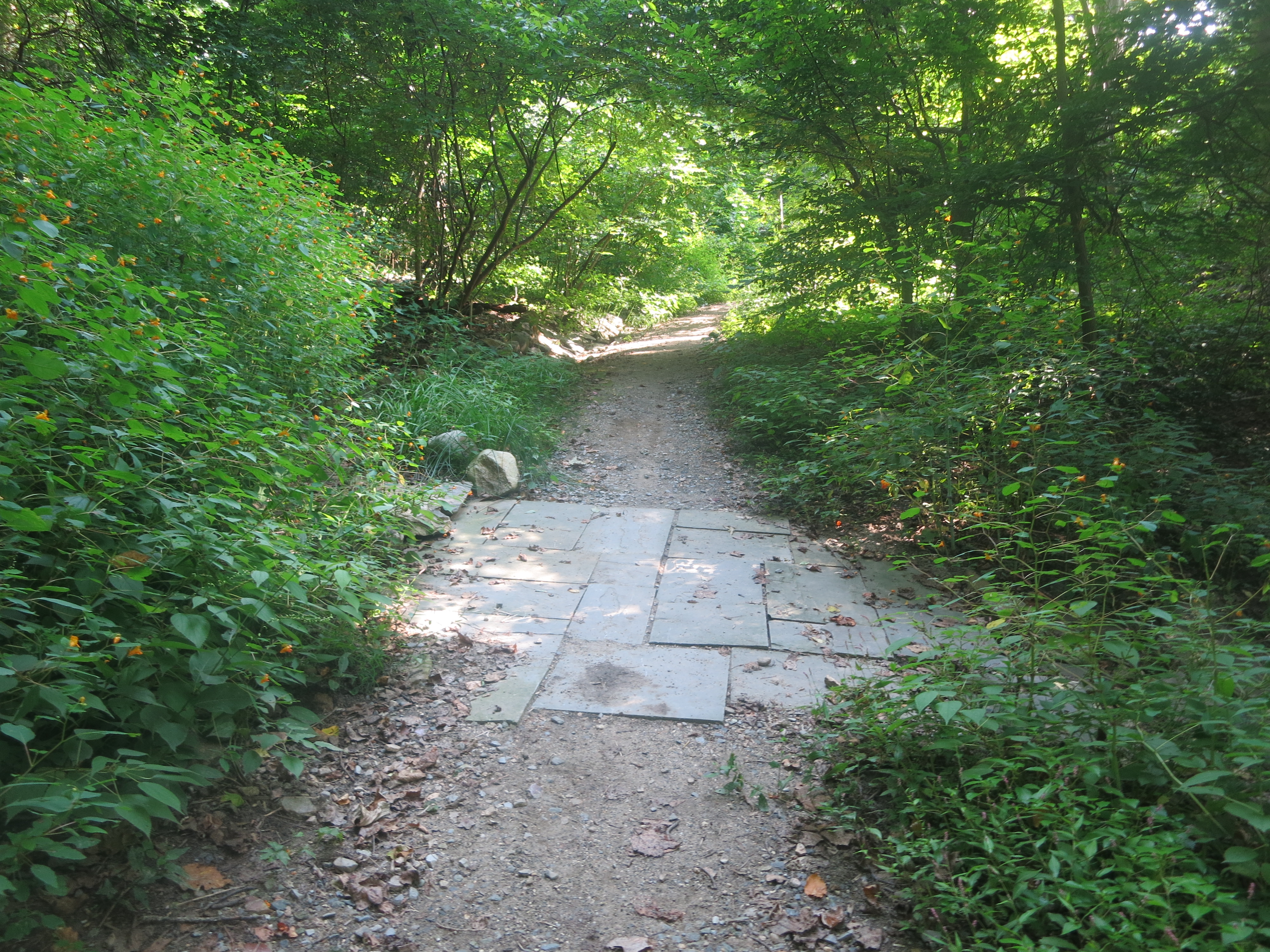 Along the Old Croton Aqueduct Trail - Photo by Daniel Chazin