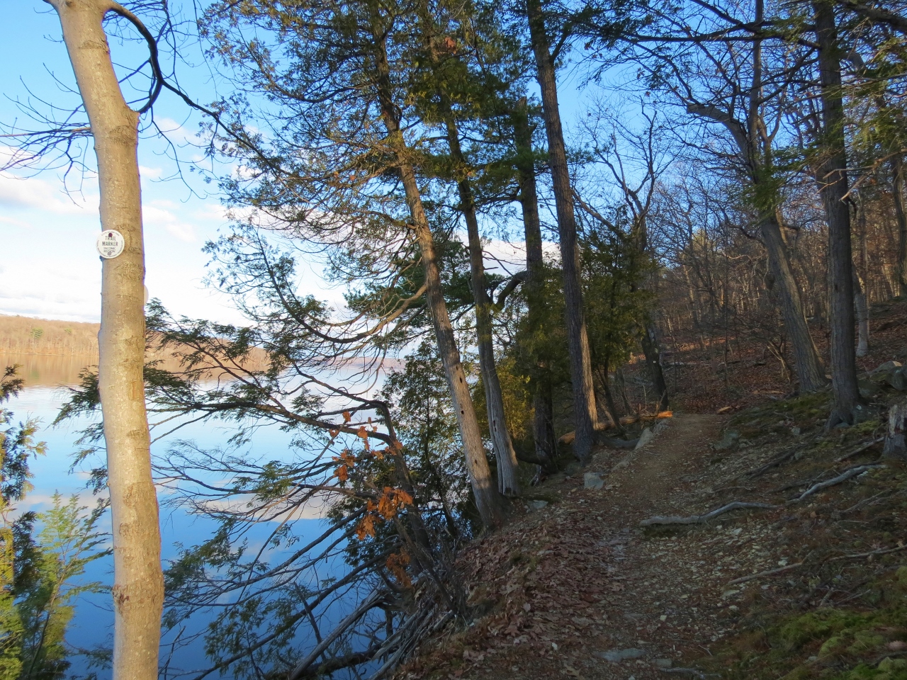 Trail along the Hudson River - Photo credit: Daniela Wagstaff