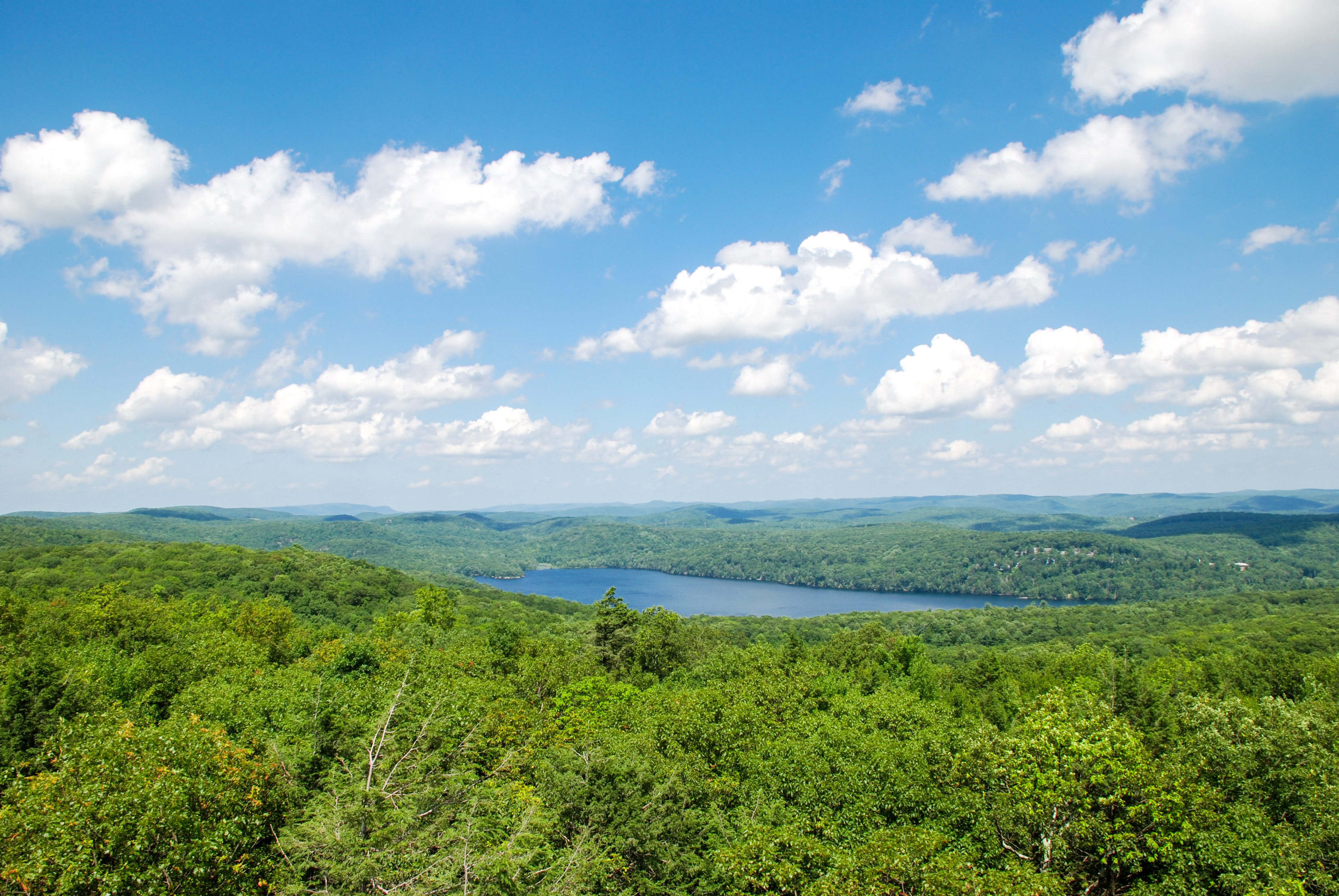 Sterling Forest Fire Tower at Sterling Lake from the Fire Tower - Fire Tower - Photo credit: Jeremy Apgar