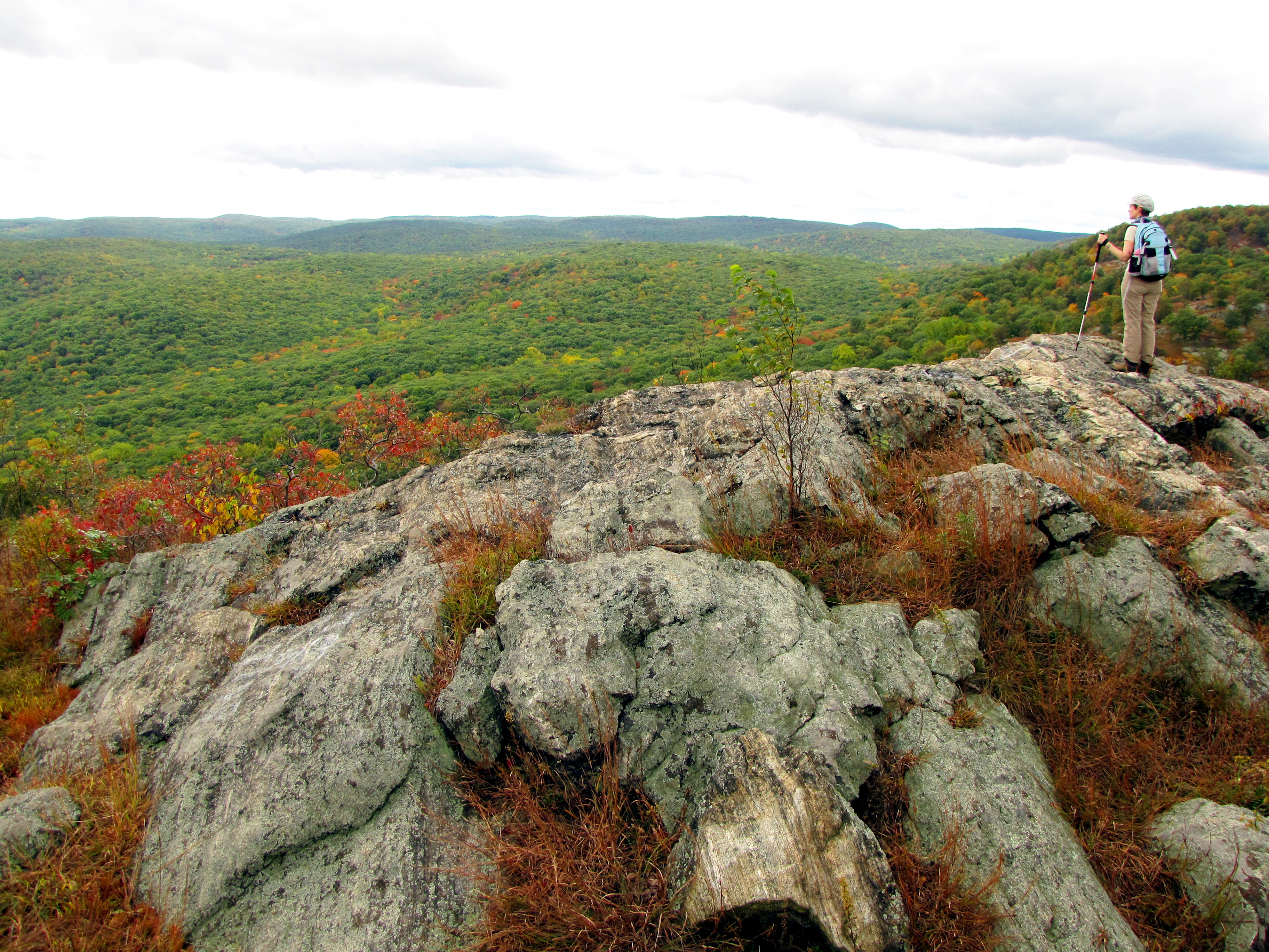 View from The Timp - Harriman-Bear Mountain State Parks  - Photo credit: Dan Balogh